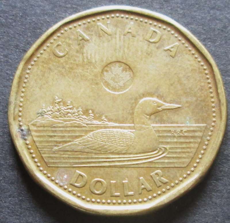 2013 Canada 1 Dollar