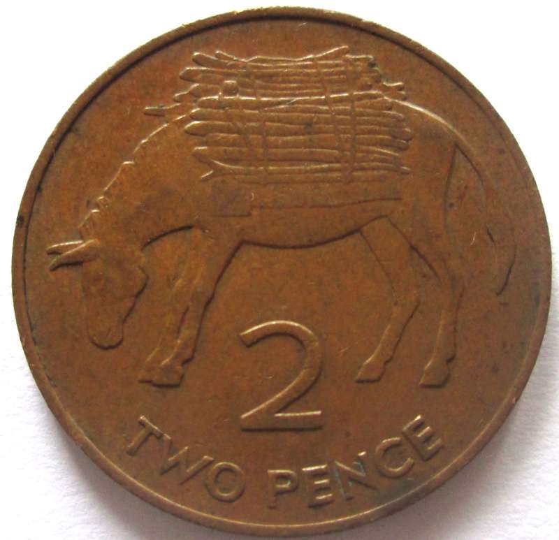 1991 St Helena 2 Pence