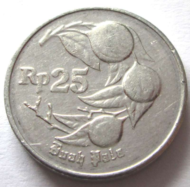 1991 Indonesia 25 Rupiah