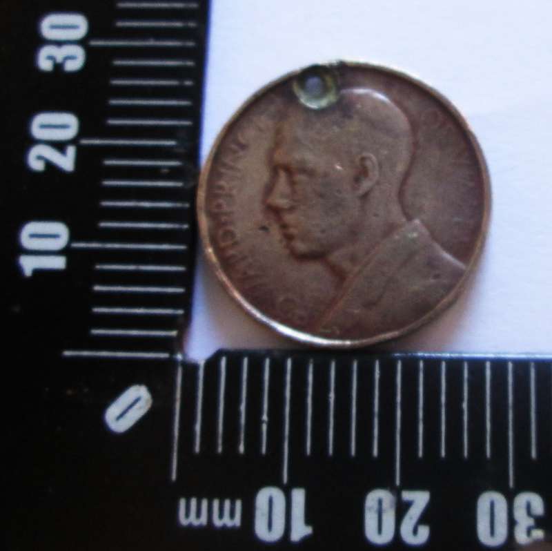 1925 Prince of Wales Natal Souvenir Medal