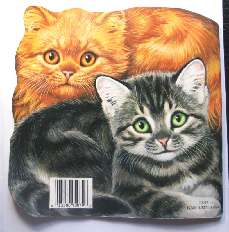 The Kitten Book by Jan Pfloog