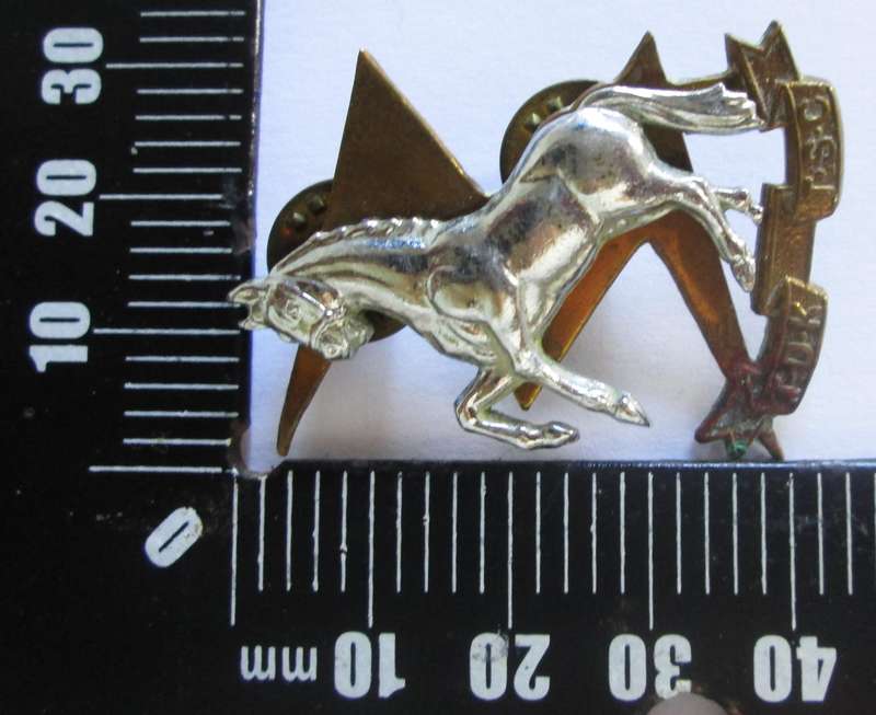 South African Army TSC/TDK WW2 Cap Badge