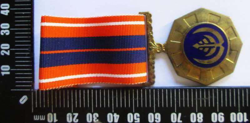 Pro Patria Medal No 12433