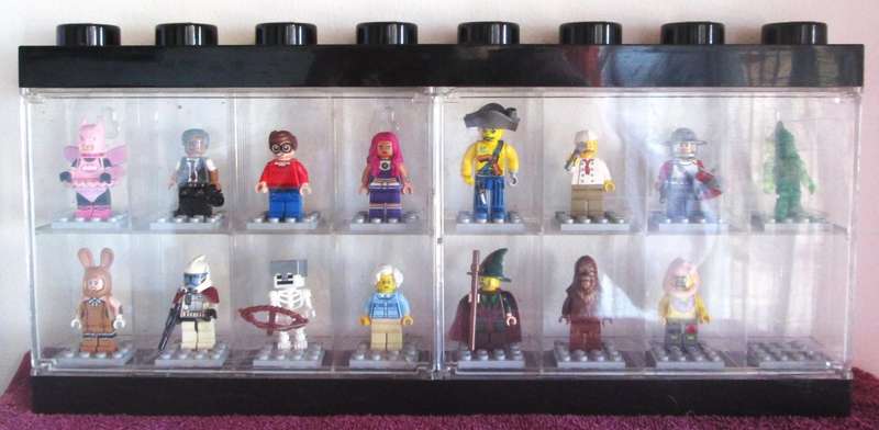 LEGO Minifigures 15 Set in Black Display Case