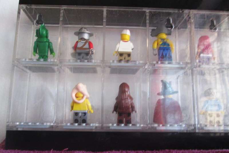 LEGO Minifigures 15 Set in Black Display Case