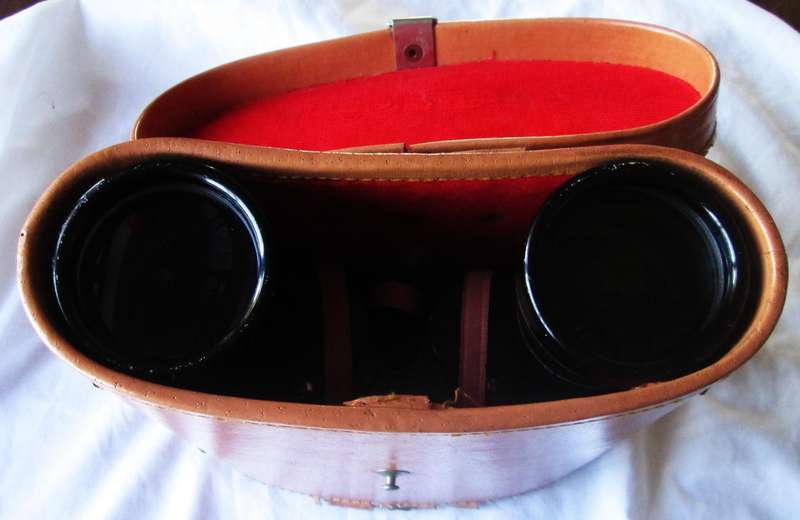 Limax Coated Optics Triple Tested No 461697 Vintage Binoculars / Case