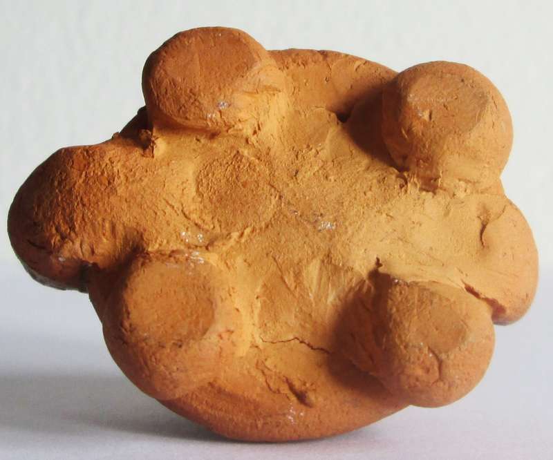 Tortoise Ornament