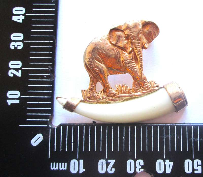 Kruger Park Elephant Brooch Gold Plated