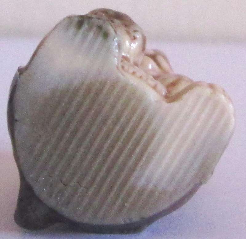 1972 Bear Cub Wade English Whimsies