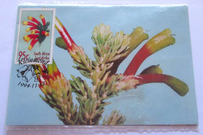 1994 Kleinmond Flowers Post Cards
