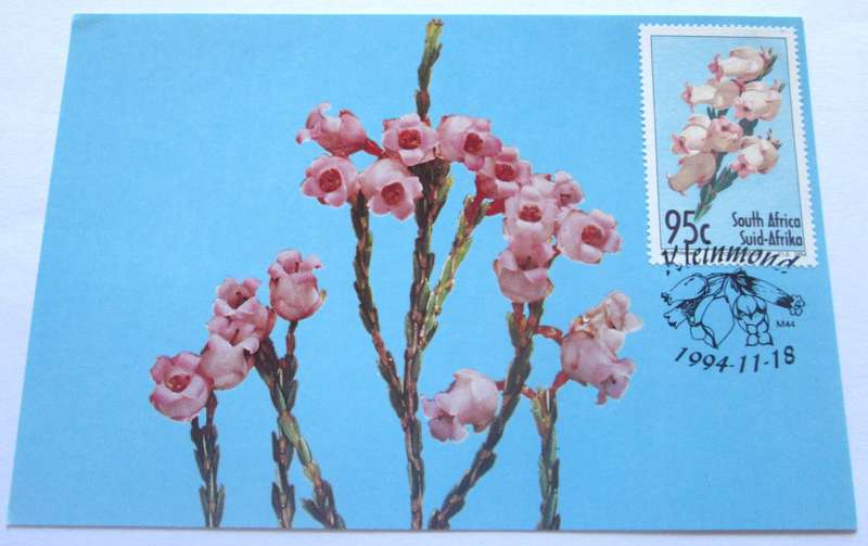 1994 Kleinmond Flowers Post Cards