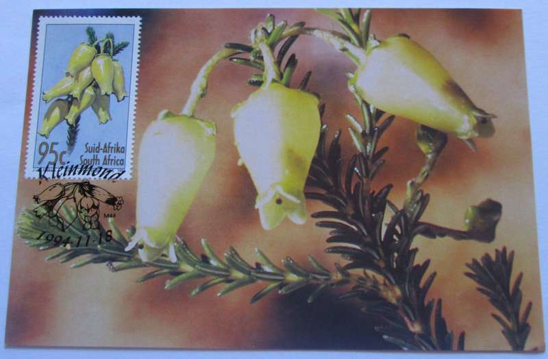 1994 Kleinmond Flowers Post Cards