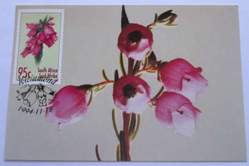 1994 Kleinmond Flowers Post Cards