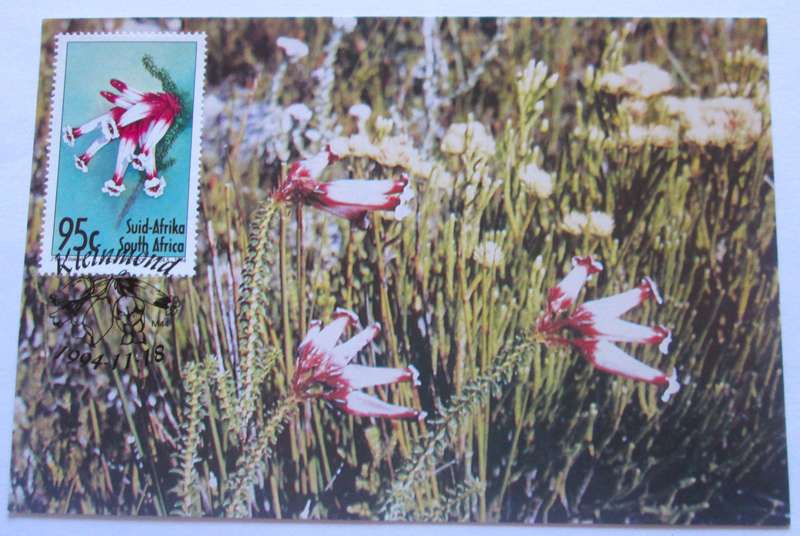1994 Kleinmond Flowers Post Cards