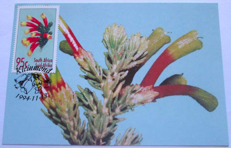 1994 Kleinmond Flowers Post Cards