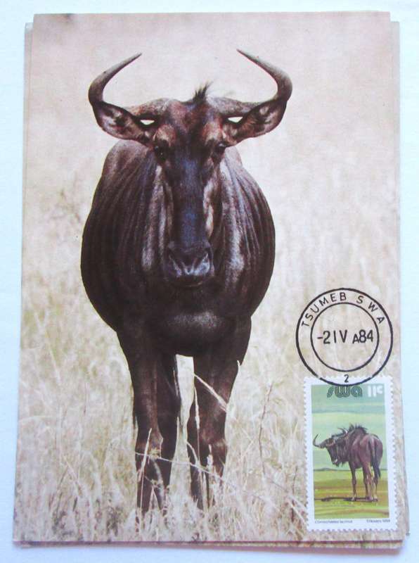 1984 Tsumeb Blue Wildebeest GNU Post Cards