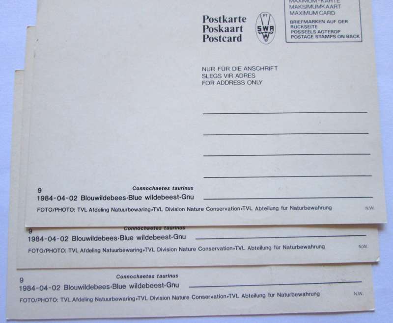 1984 Tsumeb Blue Wildebeest GNU Post Cards