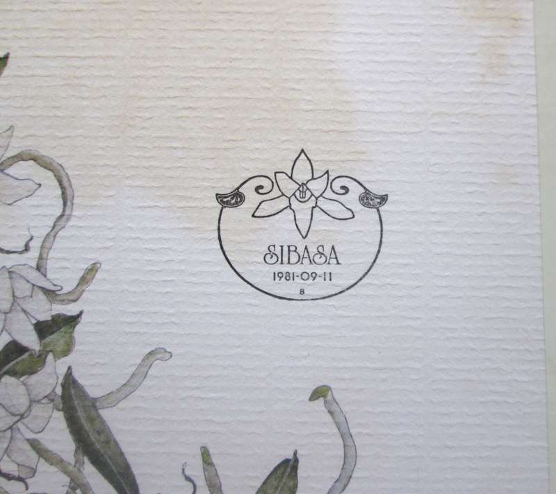 1981 Venda Sibasa Orchids First Day Cover