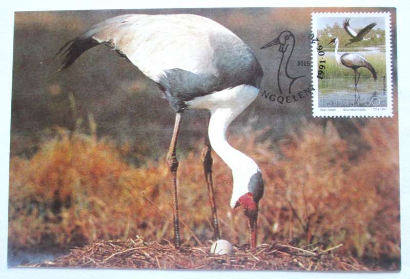 1991 Ngqeleni Edangered Birds Post Cards