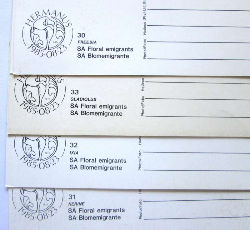 1985 Hermanus Floral Emigrats Post Cards