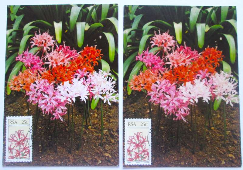 1985 Hermanus Floral Emigrats Post Cards