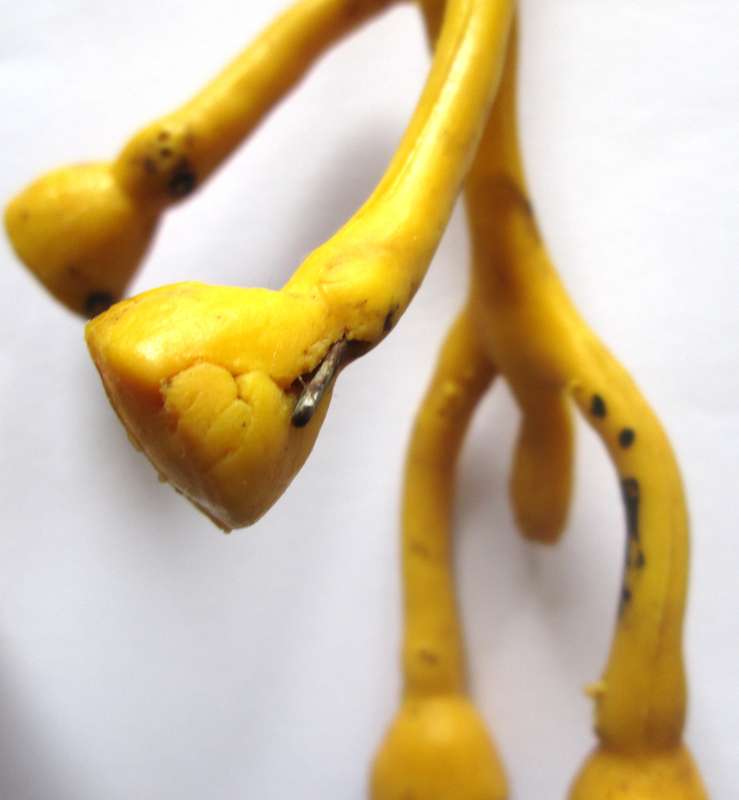 Rubber Wire Bendable Flexible Bunny and Giraffe Vintage