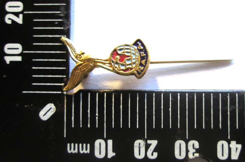 Royal Air Force Association Lapel Badge