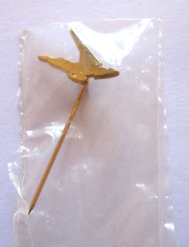 SAA / SAL Pin