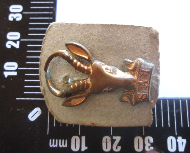 South Africa Infantry