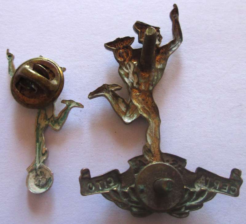 Royal Signals Anodised Staybrite Collar Badges