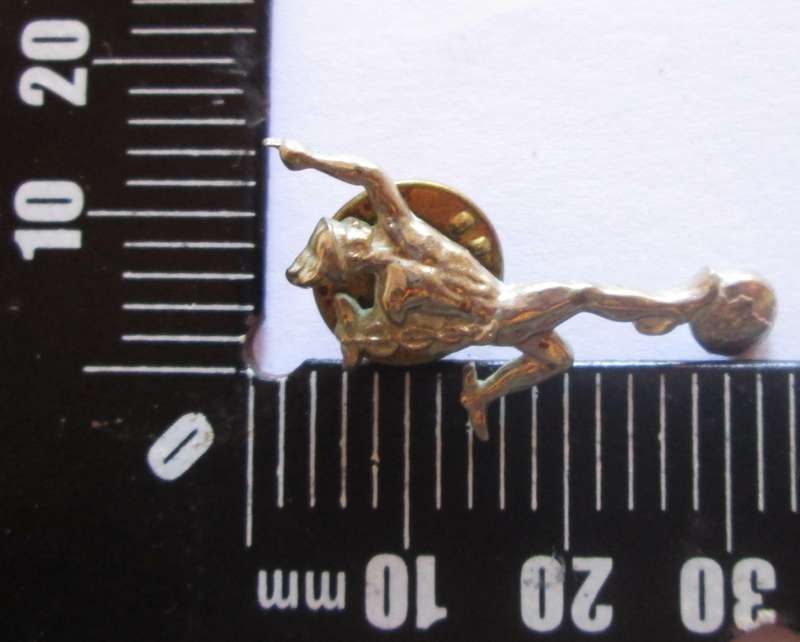 Royal Signals Anodised Staybrite Collar Badges