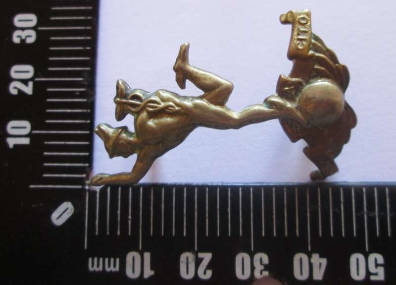Royal Signals Anodised Staybrite Collar Badges
