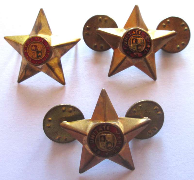 South African Army Ex Unitate Vires