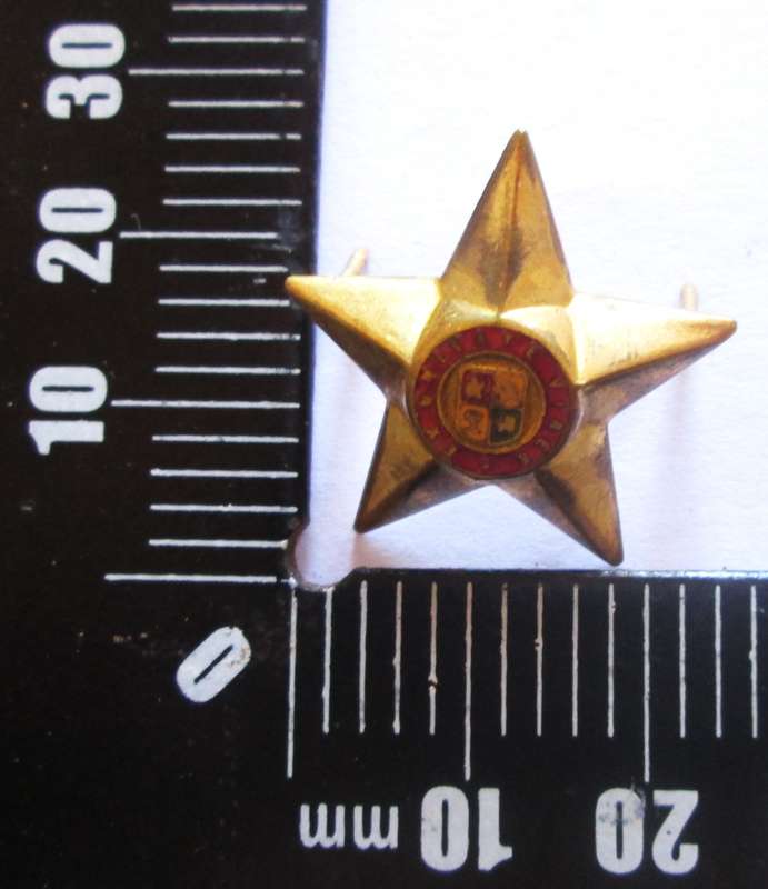 South African Army Ex Unitate Vires