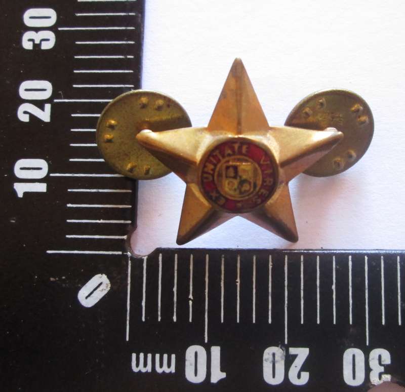 South African Army Ex Unitate Vires