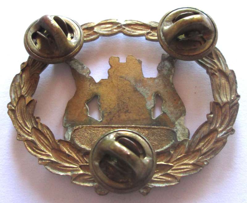 South Africa Corps Badge