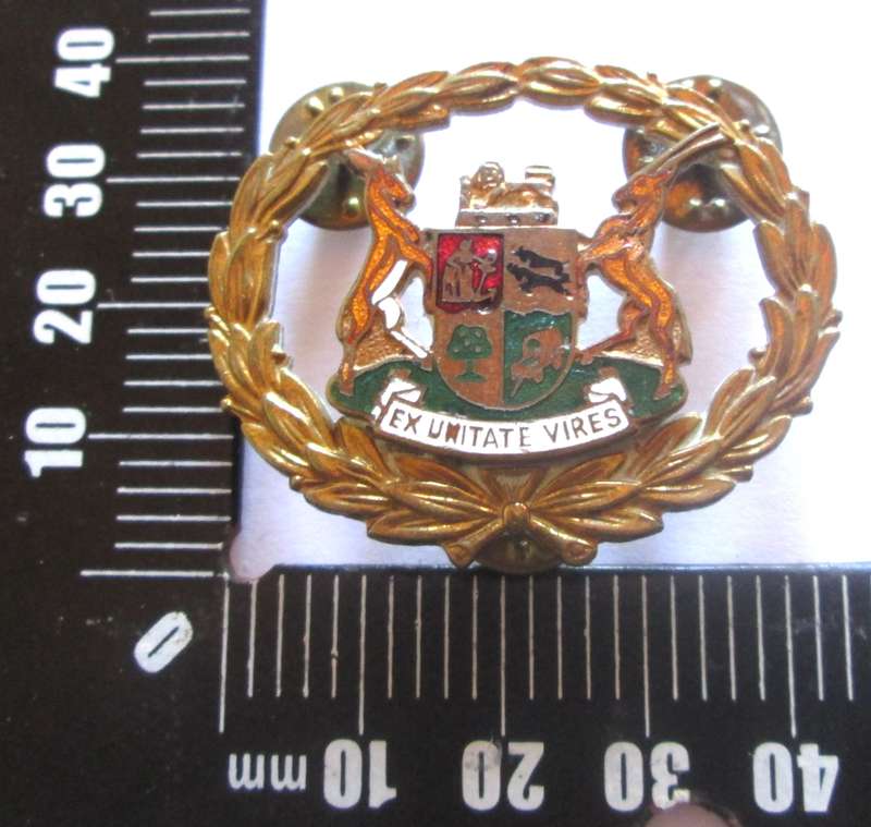 South Africa Corps Badge