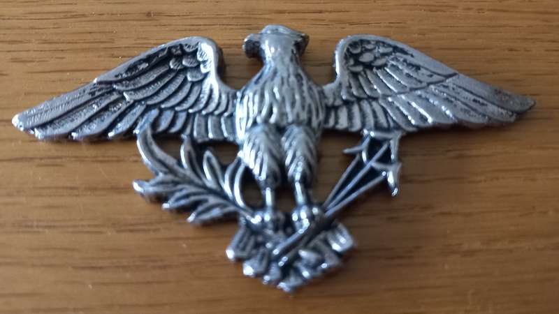 Coat of Arms Metal Badge- Possibly USA