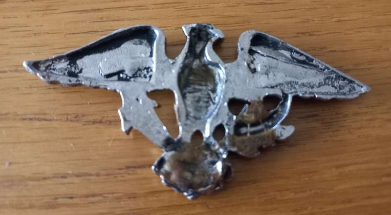 Coat of Arms Metal Badge- Possibly USA
