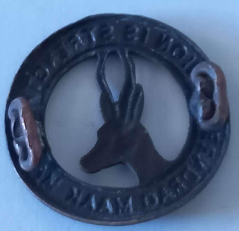 SA ARMY-UNION-INFANTRY UNION IS STRENGHT-SPRINGBOK HEAD WW2