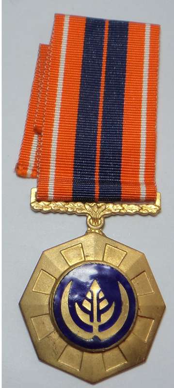 Full Size Pro Patria Medal (Fixed Suspender 109726)