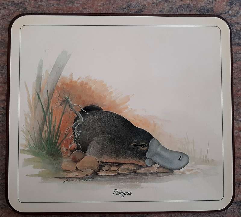 Jason vintage cork backed placemats, 6 times, 217 x 190mm, unused