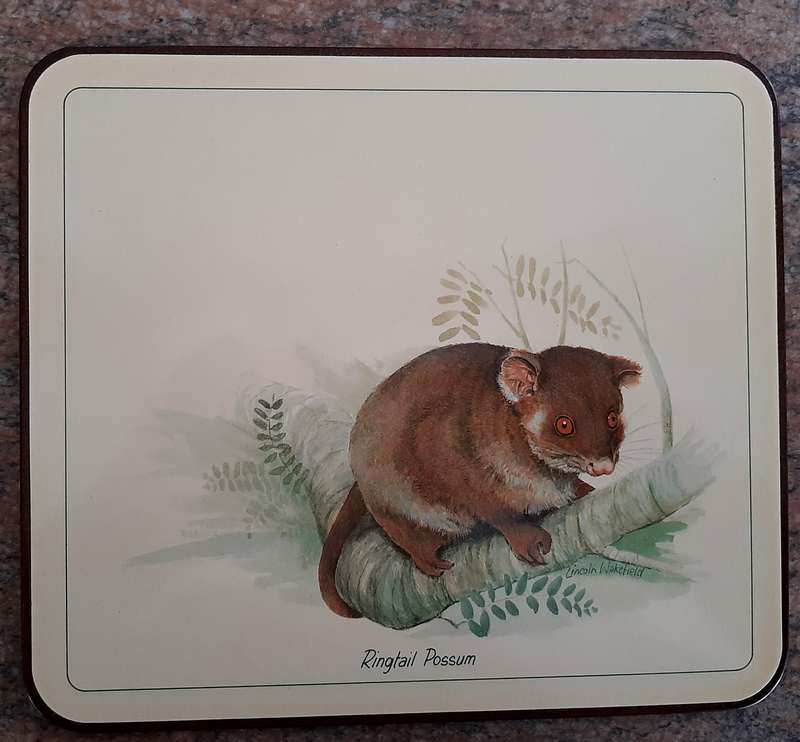 Jason vintage cork backed placemats, 6 times, 217 x 190mm, unused