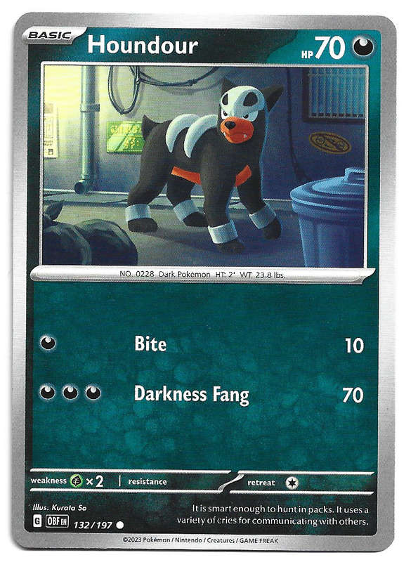 HOUNDOUR -  COMMON  132/197  POKEMON TCG OBSIDIAN FLAMES TRADING CARD