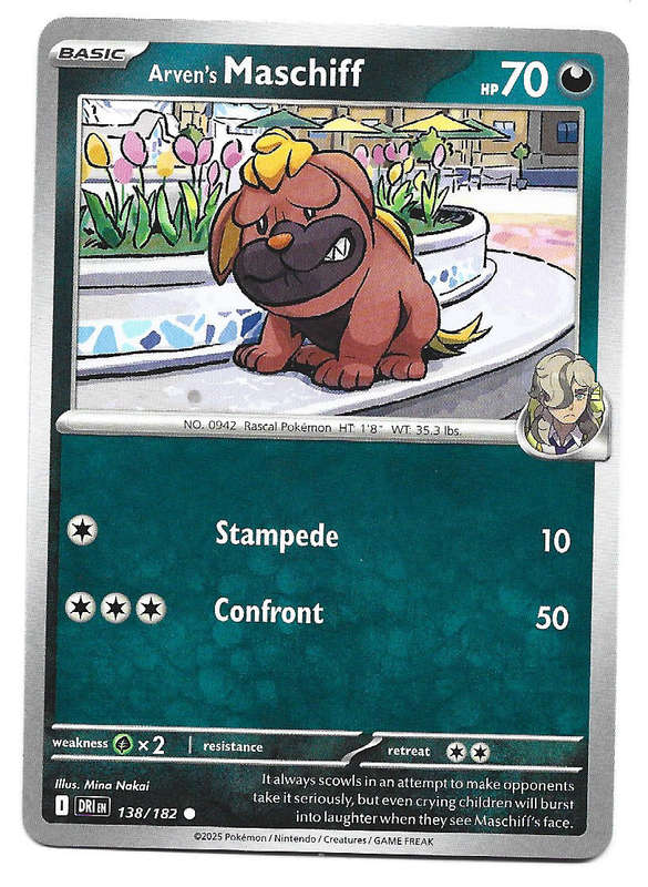 ARVEN's MASCHIFF  -  COMMON  138/182  POKEMON TCG DESTINED RIVALS TRADING CARD