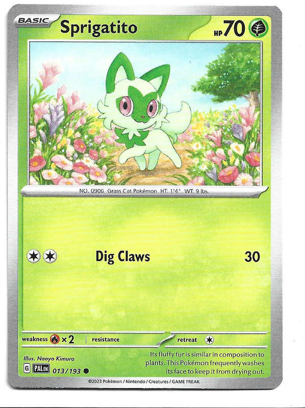 SPRIGATITO -  COMMON  13/193 POKEMON TCG PALDEA EVOLVED TRADING CARD