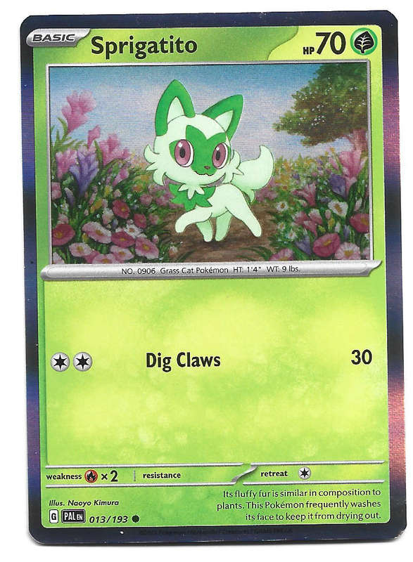 SPRIGATITO -  HOLO RARE  13/193  POKEMON TCG  PALDEA EVOLVED TRADING CARD
