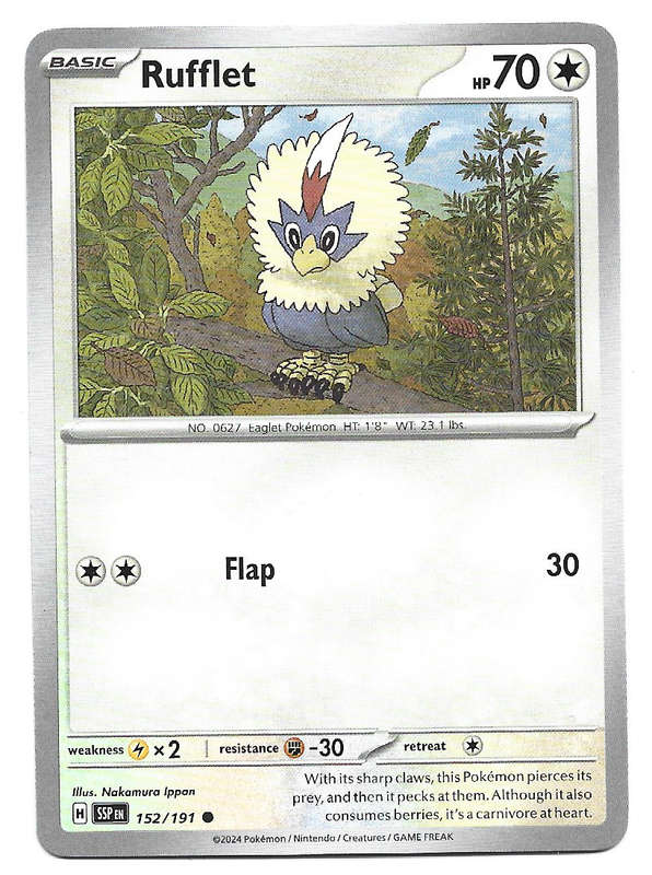 RUFFLET  - COMMON  152/191 POKEMON TCG SURGING SPARKS TRADING CARD