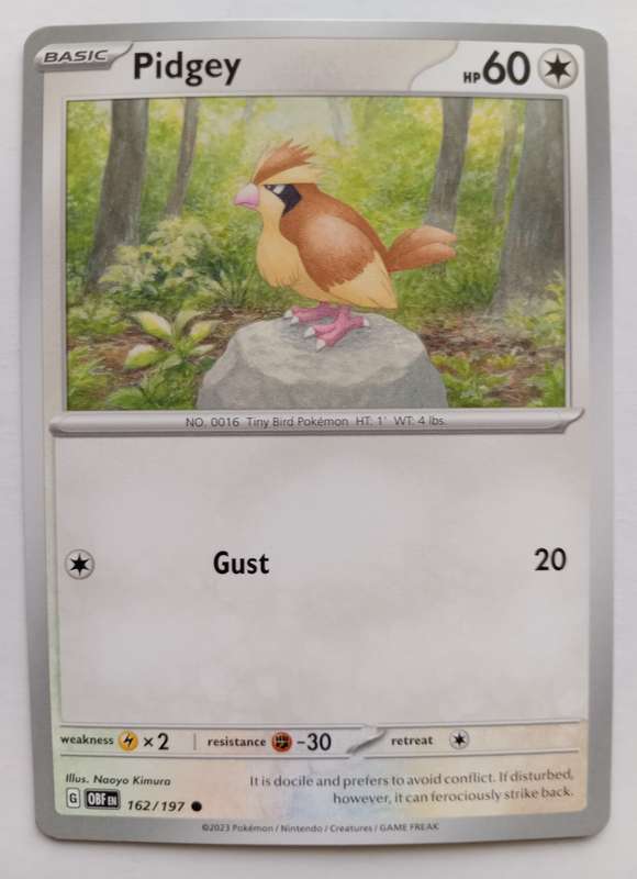 POKEMON CARD - PIDGEY  162/197 COMMON OBSIDIAN FLAMES 2023 - MINT