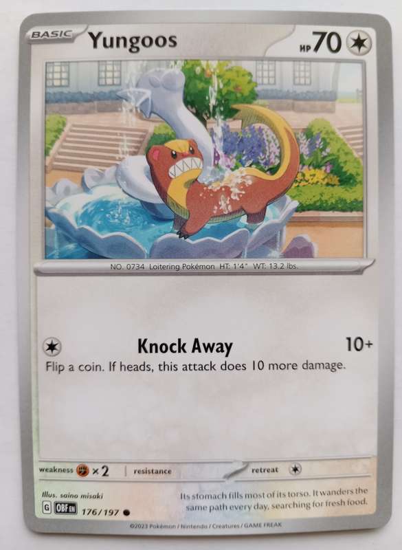 POKEMON CARD - YUNGOOS  176/197 COMMON OBSIDIAN FLAMES 2023 - MINT